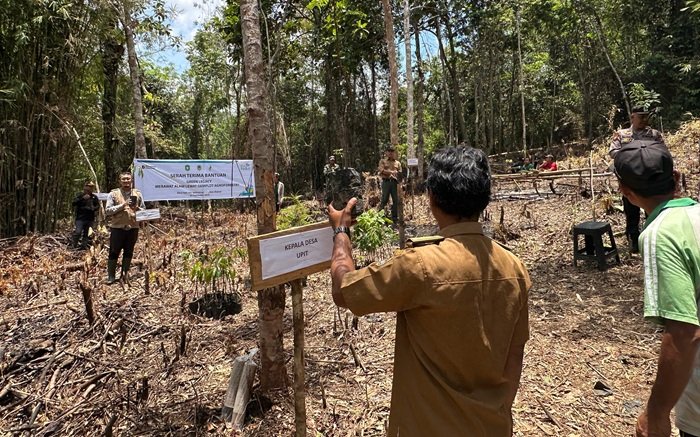 Lestarikan Alam, PLN dan Masyarakat Bangun Demplot Agroforestry di Desa Upit
