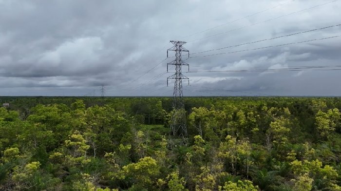 Dedikasi PLN di Hari Pelanggan Nasional, Hadir Melalui Monitoring Program Mitigasi Karhutla di Jumpun Pambelom