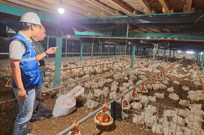 Utamakan Daya Beli Masyarakat, Pemerintah Jaga Tarif Listrik Tetap Terjangkau Sepanjang 2025