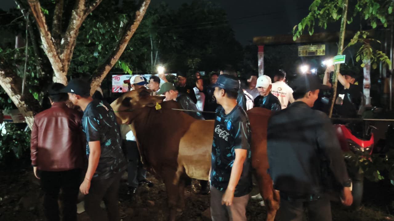 Juara Mini Soccer Bahasan Cup 2025, Radit FC Bawa Pulang Hadian Seekor Sapi