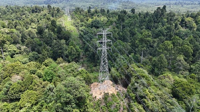 Momentum Hari Listrik Nasional ke-80, PLN UIP3B Kalimantan Perkuat Keandalan Sistem Lewat Energize SUTT 150 kV Talisayan - Maloy