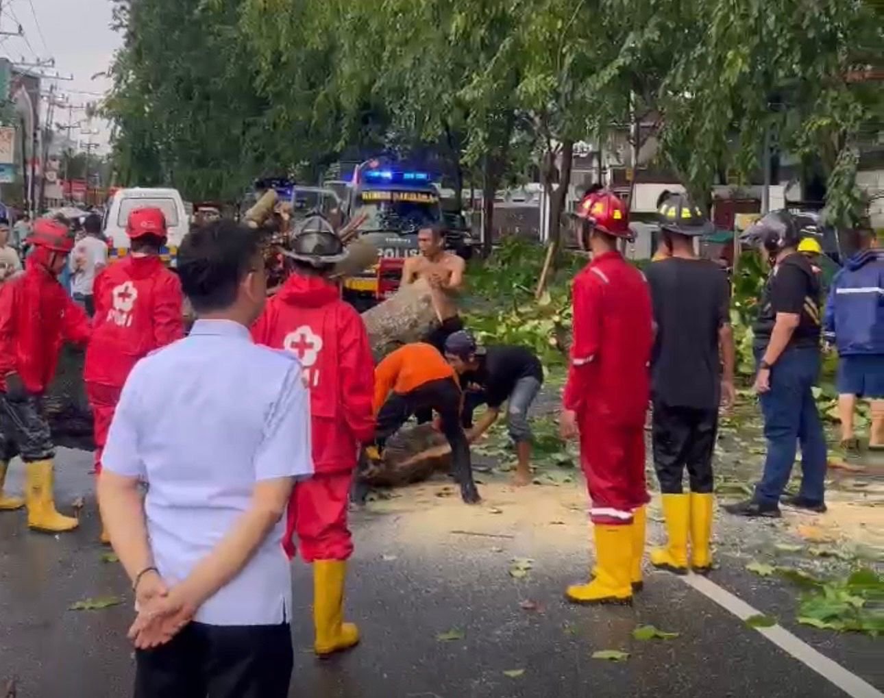 Edi Imbau Warga Waspada Pohon Rawan Tumban Saat Cuaca Ekstrem