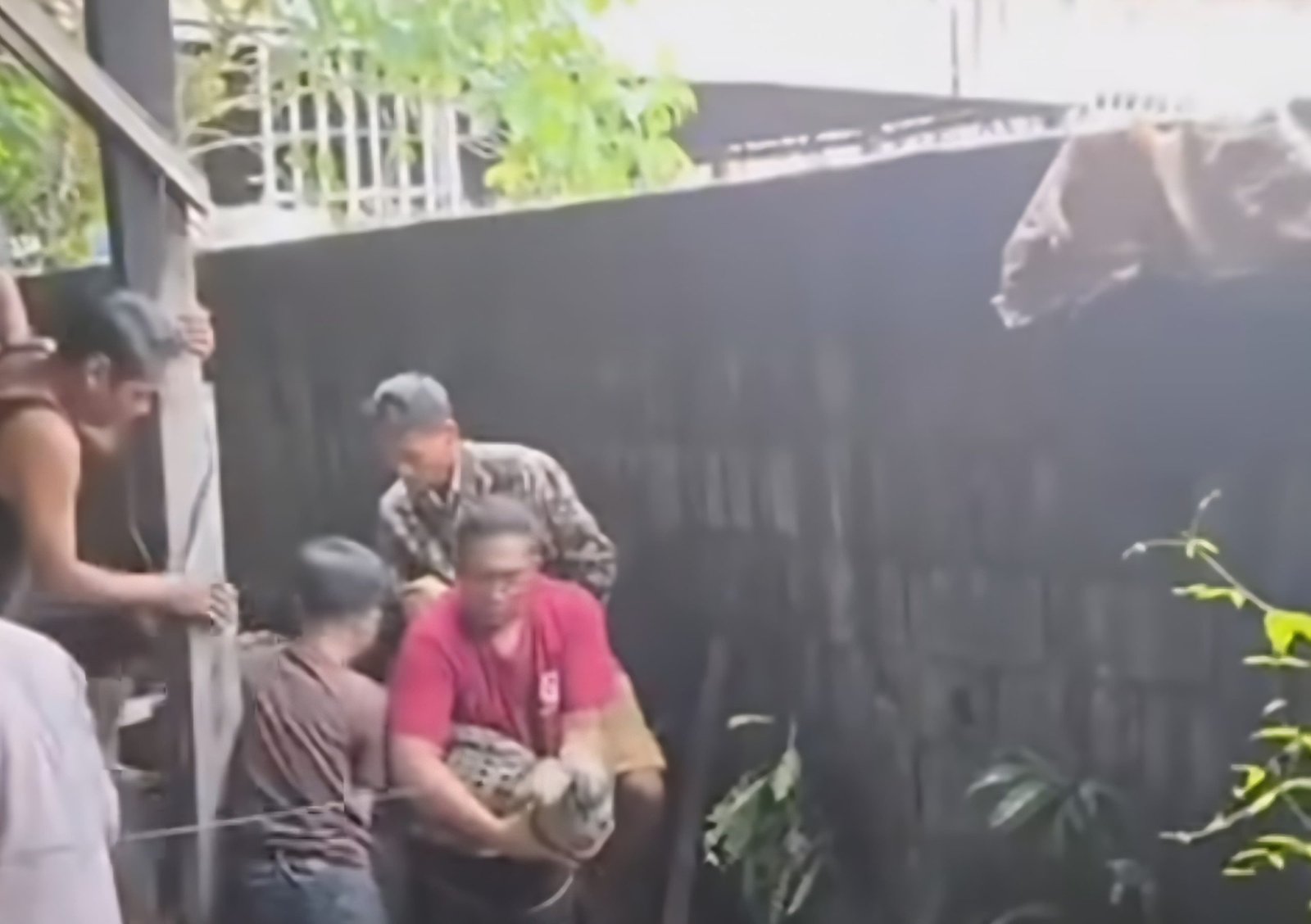 Warga Tanjung Hulu Pontianak Evakuasi Seekor Buaya Betina