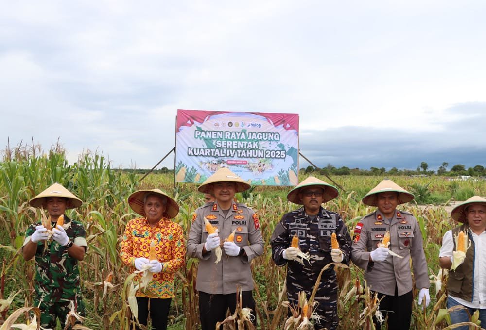Kapolres Ketapang Ikut Panen Raya Jagung Kuartal IV