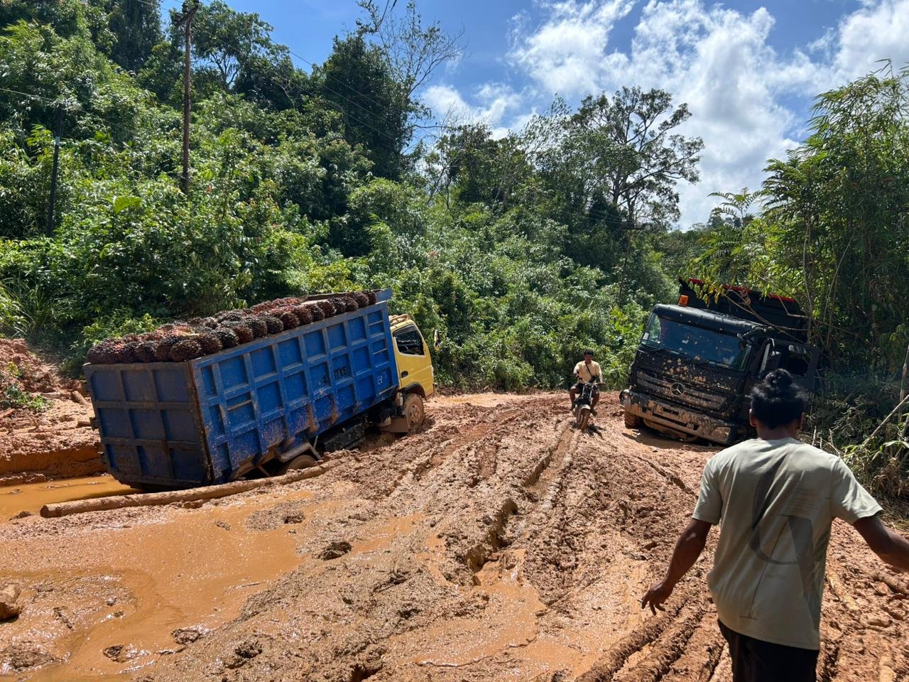 Ruas Jalan Provinsi di Ketapang Rusak Parah, Masyarakat Ketapang Teriak Pemprov dan DPRD Kalbar ke Mana?
