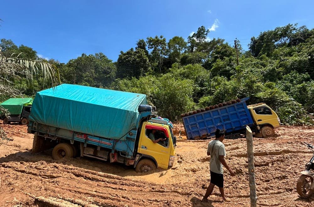 Dikritik Soal Kinerja, Anggota DPRD Dapil Ketapang-KKU Buka Suara