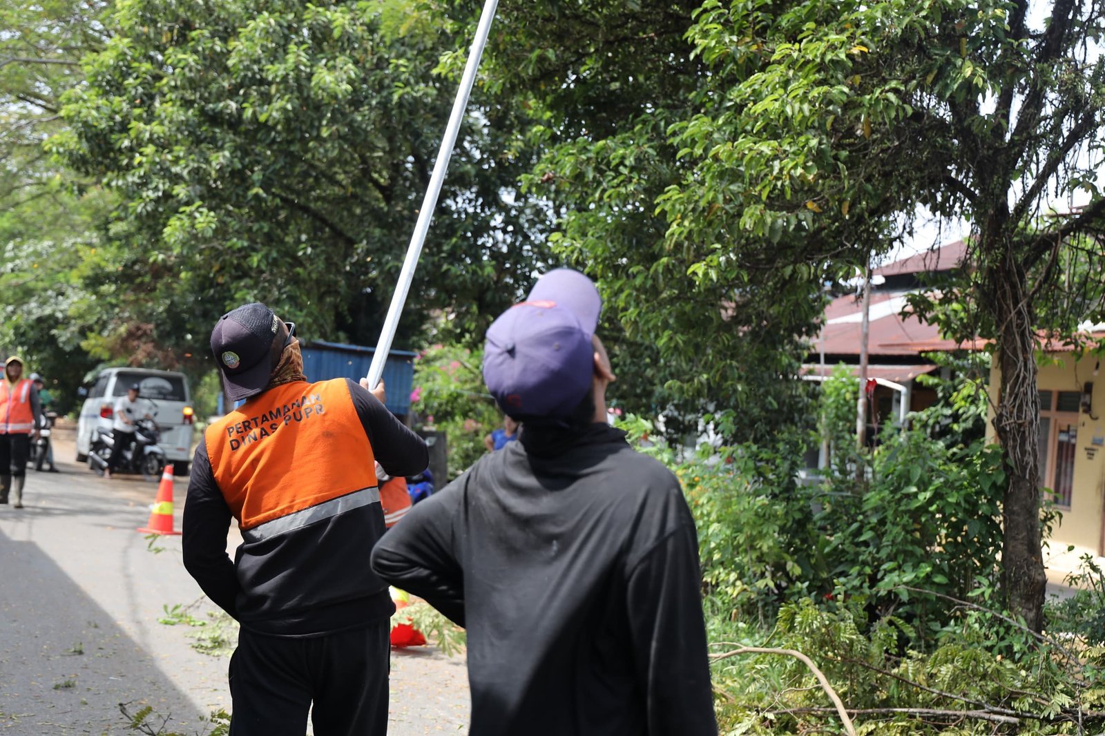 Tindaklanjuti Aduan Warga, PUPR Pontianak Pangkas Pohon di Jalan Selat Sumba