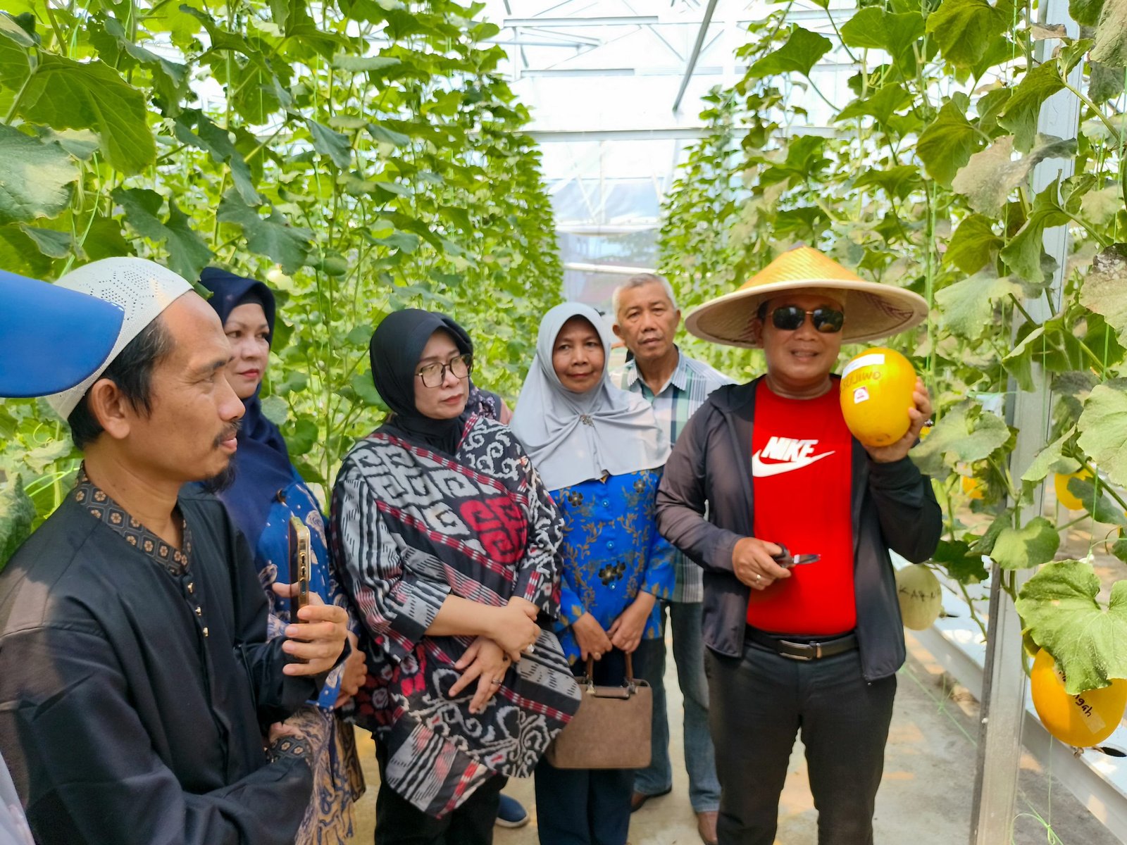 Manfaatkan Pekarangan Rumah Jadi Nilai Ekonomi