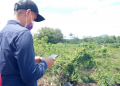 Keterangan foto: Tim dari Dinkes dan KB KKU meninjau lahan yang mengarah ke Dusun Semanai untuk relokasi Puskesmas Siduk. (Kamiriluddin)