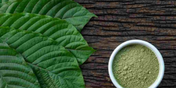 Tanaman kratom sebagai obat herbal. (Ilustrasi/Istimewa)