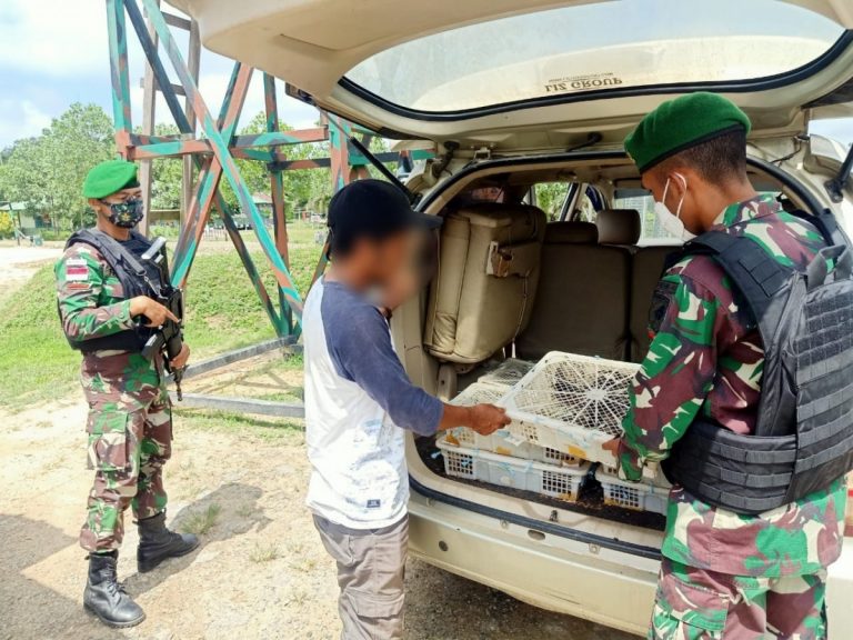 Upaya penyelundupan ini digagalkan saat petugas Pamtas sedang melakukan kegiatan sweeping rutin di jalan utama lintas batas Malaysia - Indonesia, Sungai Daun.