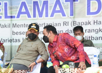 Bupati dan Wakil Bupati Sambas, Satono-Rofi