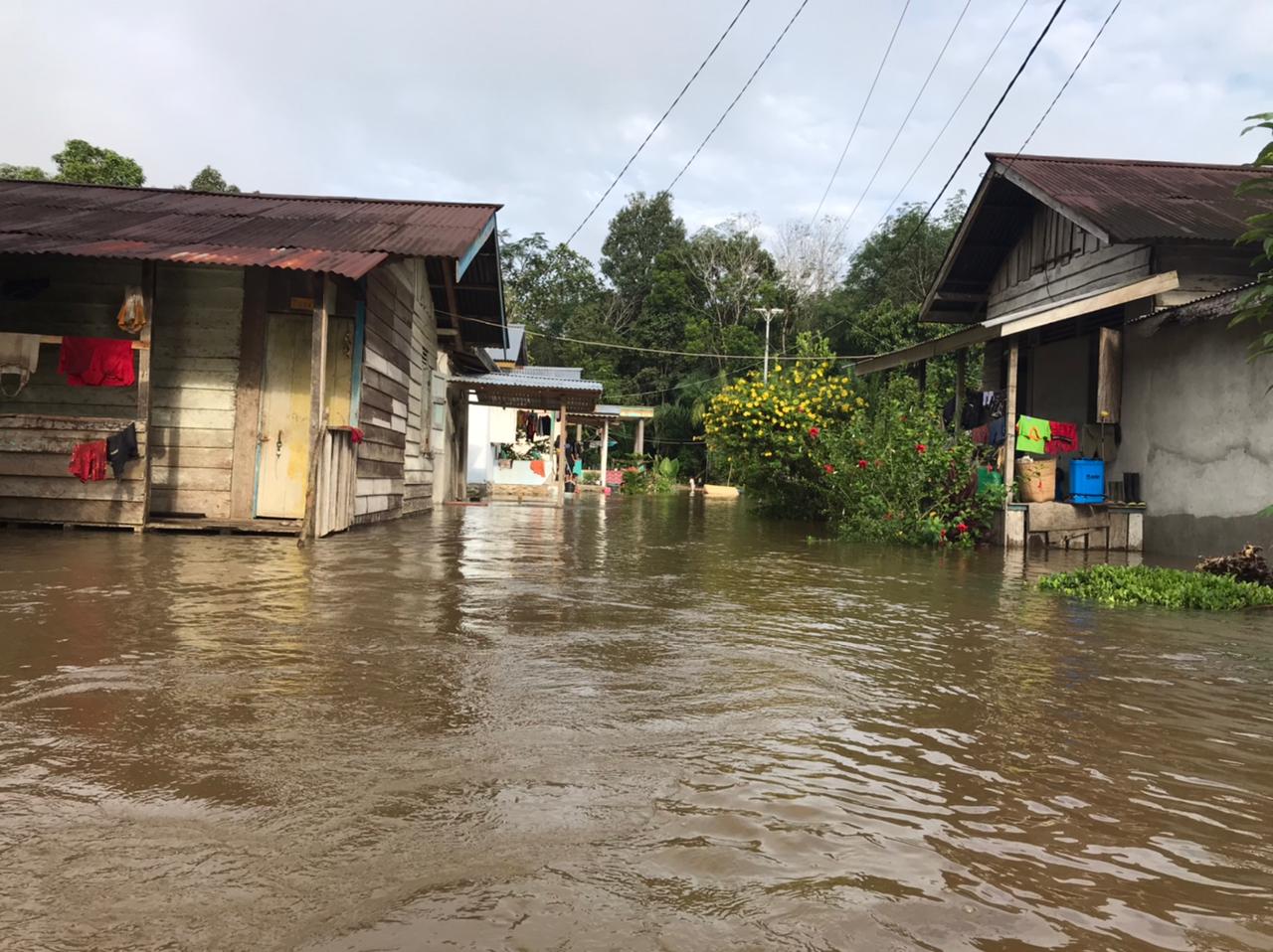 Dusun Buluh Empirit, Desa Binjai, Kecamatan Tayan Hulu, Sanggau dilanda banjr, Minggu (13/2/2022). Foto: Ist