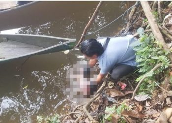 Mayat bayi dievakuasi petugas. Foto: Ist