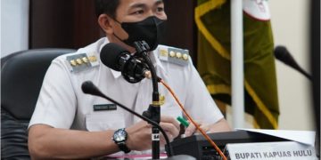 Bupati Kapuas Hulu, Fransiskus Diaan