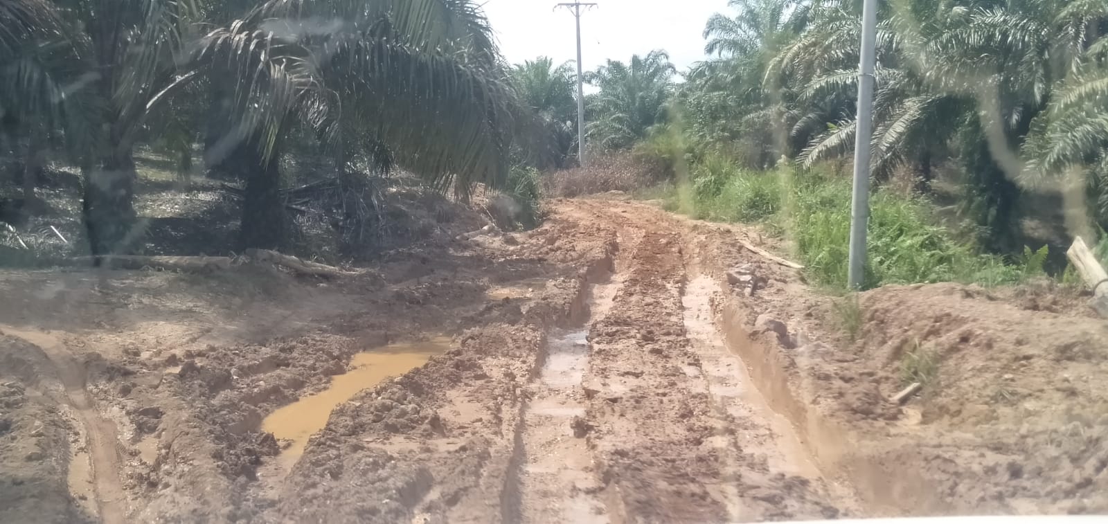 Jalan menuju Desa Balai Ingin, Kecamatan Tayan Hilir hancur bagaikan bubur. Foto: Kiram Akbar/Equator Online