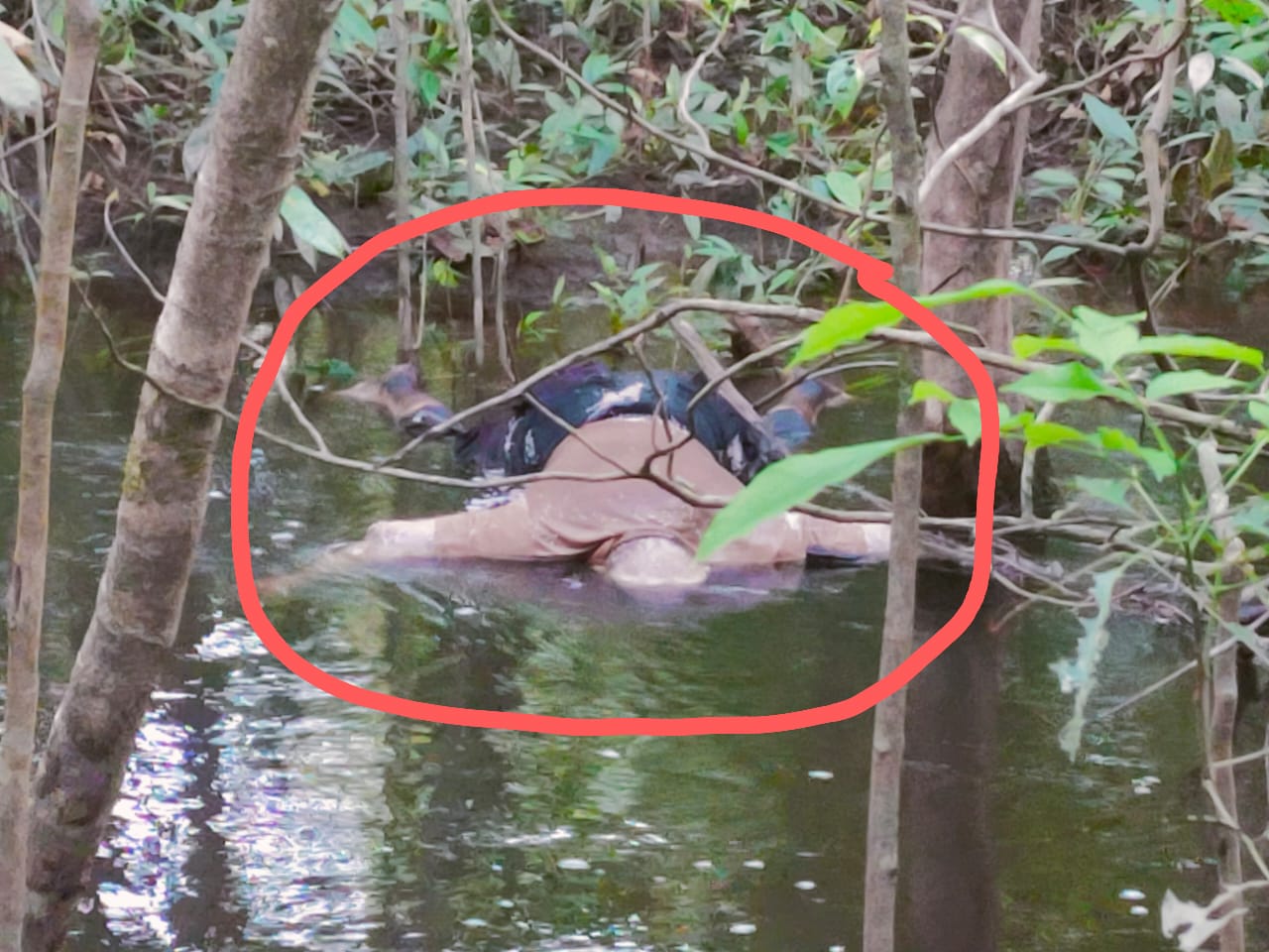 Mayat mengapung di anak Sungai Kenyikap. Foto: Ist