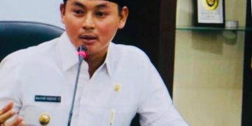 Wakil Bupati Kapuas Hulu, Wahyudi Hidayat