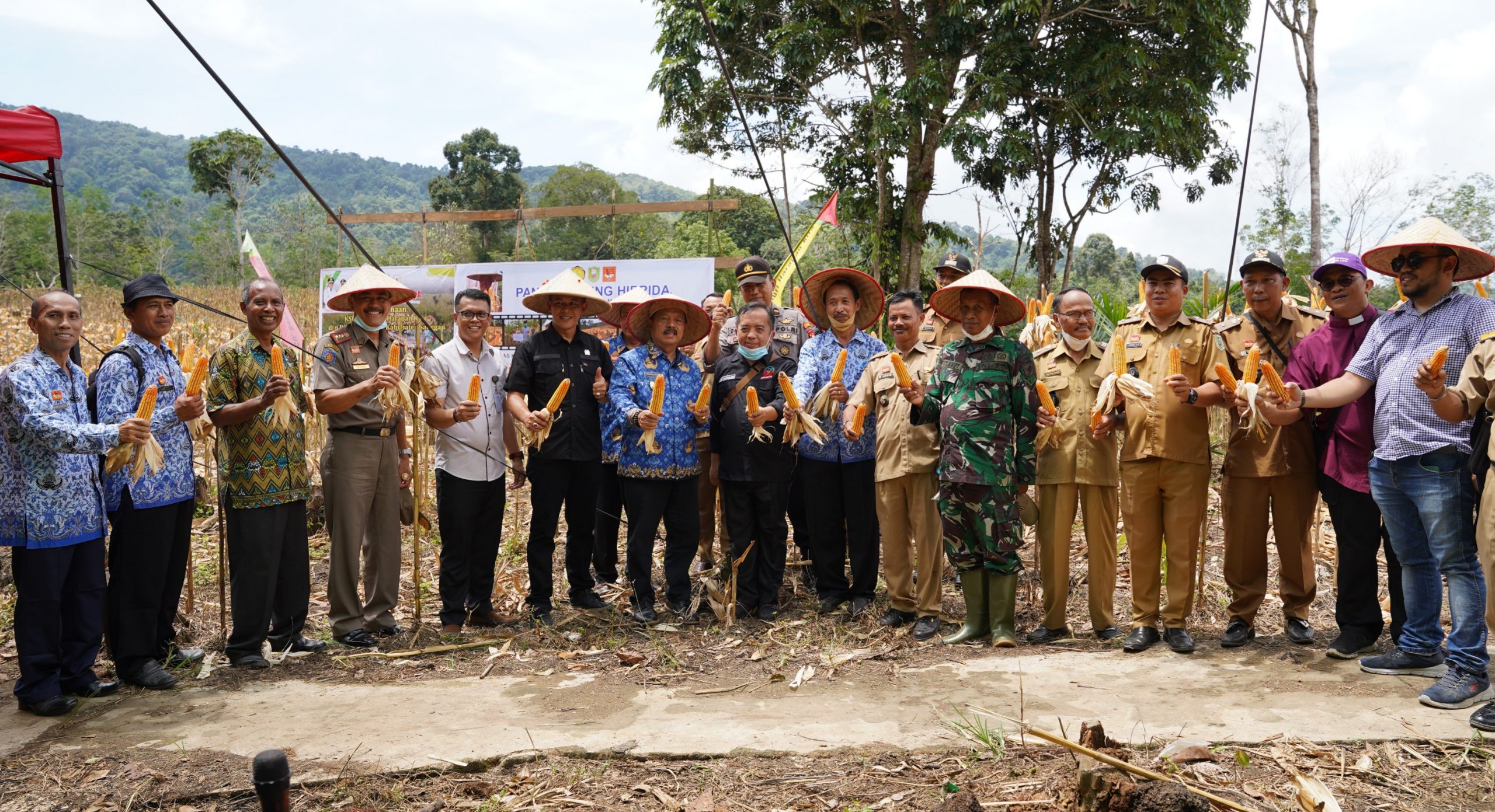 Foto--Wakil Bupati Yohanes Ontot ketika panen jagung milik kelompok tani dua saudara di Batang Tarang, Senin (17/10/2022)--Diskominfo Sanggau