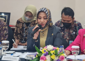 Erlinawati Anggota DPD RI menyampaikan usulan kerjasama antara Filipina dengan  Kalimantan Barat
