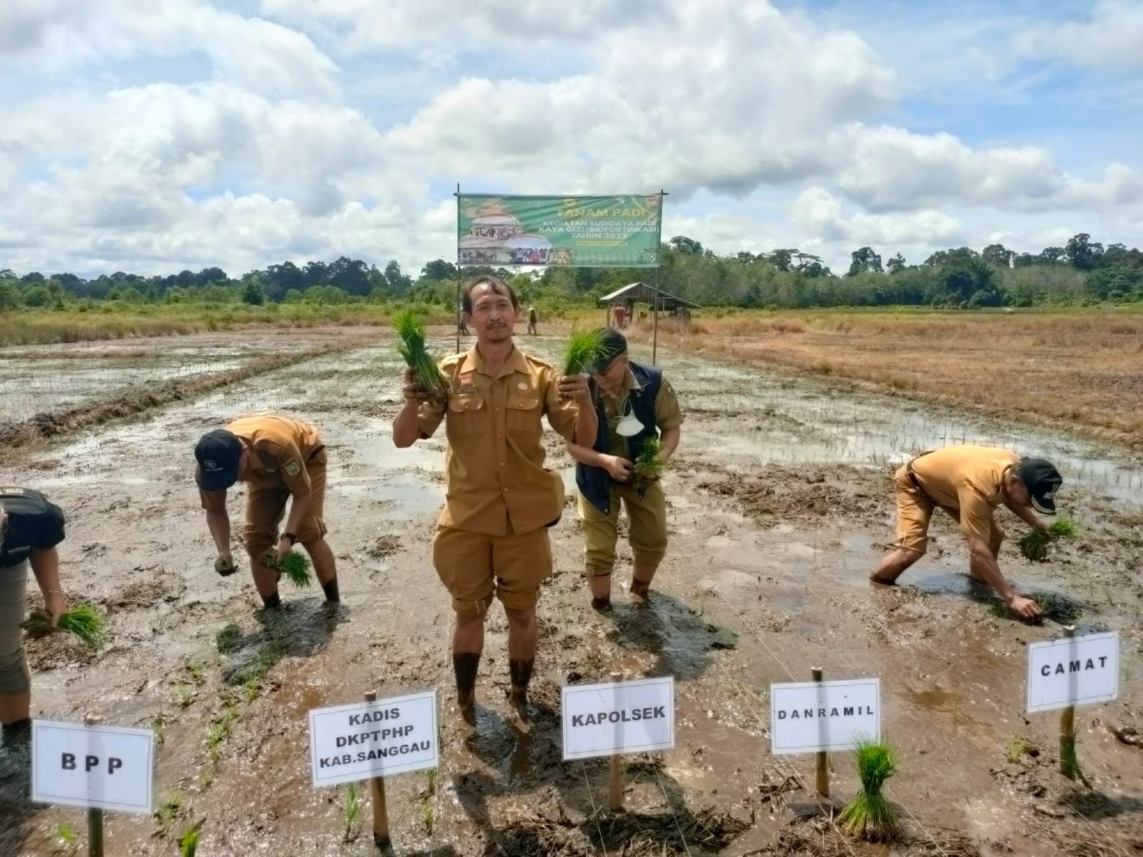 Foto---Kepala DKPTPHP melakukan tanam perdana padi kaya gizi di  Dusun Muara Dua Desa Kuala Dua Kecamatan Kembayan, Senin (07/11/2022)---ist