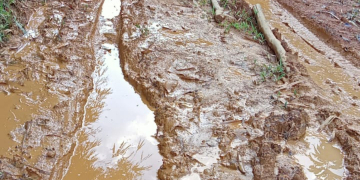 Kondisi jalan Landau Kumpang - Riam Tapang Silat Hulu membutuhkan perhatian Pemerintah Daerah