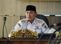 Wakil Bupati Kapuas Hulu Wahyudi Hidayat