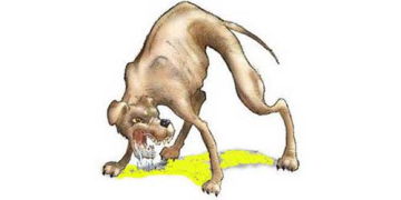 Ada 608 Kasus Rabies Sepanjang 2022 di Kabupaten Sanggau