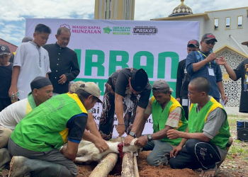 Wakil Bupati Kapuas Hulu Wahyudi Hidayat saat melakukan pemotongan hewan qurban di Masjid Agung Darunnajah Putussibau