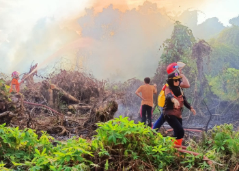 Tim BPBD Kapuas Hulu saat melakukan pemadaman api Karhutla