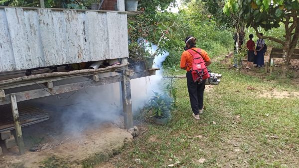 Foto---Para petugas dari BPBD Kabupaten Sanggau melakukan fogging di daerah Sungai Ranas, Kecamatan Kapuas, Senin (20/11/2023)—ist