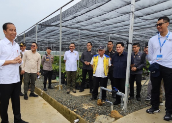 Dirut PLN Siap Penuhi Kebutuhan Listrik Energi Bersih di IKN