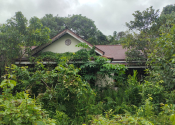 Salah satu aset Asrama pelajar Pedalaman milik Pemkab Kapuas Hulu ini terlantar dan tak terurus