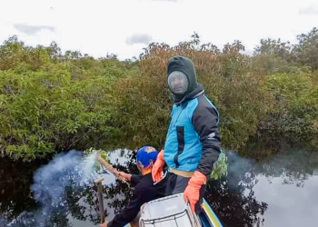 Dosen UNU Kalbar Ajarkan Panen Lestari Madu Hutan Apis Dorsata di Kapuas Hulu