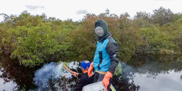 Dosen UNU Kalbar Ajarkan Panen Lestari Madu Hutan Apis Dorsata di Kapuas Hulu