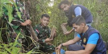 Kayu gaharu yang ditemukan oleh Bea Cukai Badau dan Satgas Pamtas saat melakukan patroli keamanan