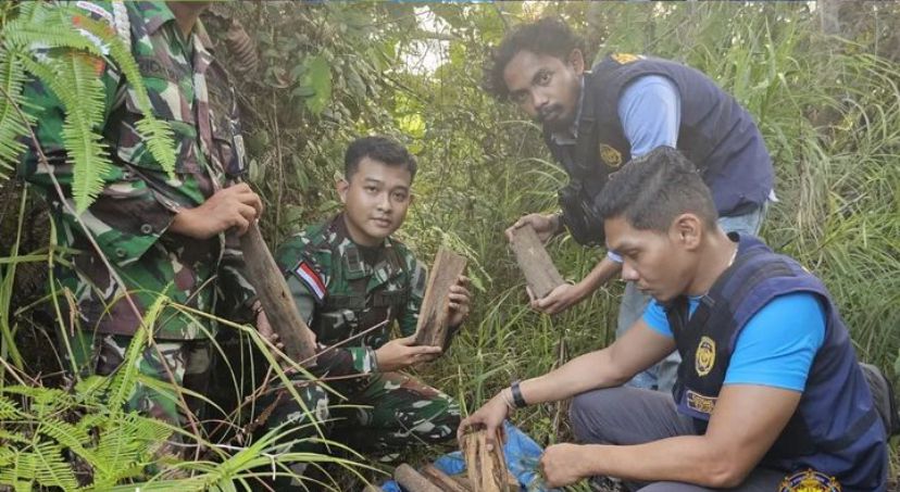 Kayu gaharu yang ditemukan oleh Bea Cukai Badau dan Satgas Pamtas saat melakukan patroli keamanan