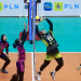 Pertandingan PLN Mobile Proliga menjadi kompetisi kasta tertinggi olahraga bola voli di Indonesia. Foto Dokumentasi PLN