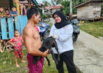 Cegah Rabies, Petugas Suntik 200 Ekor Hewan di Desa Bantai