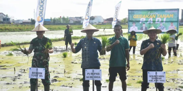 Percepat Gerakan Tanam Padi, Upaya Pemkab Kubu Raya Lakukan Tanggap Darurat Pangan