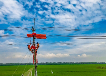 Pendapatan PLN Tumbuh Signifikan Mencapai Rp487 Triliun, Ditopang Peningkatan Penjualan Tenaga Listrik