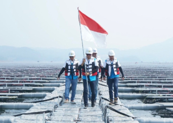 PLN Jadi Perusahaan Utilitas Terbaik se-Kawasan Versi Fortune 500 Asia Tenggara