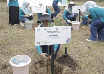 PIKK dan Srikandi PLN Berkolaborasi Gelar Aksi Tanam 150 Bibit Pohon di Balikpapan Timur