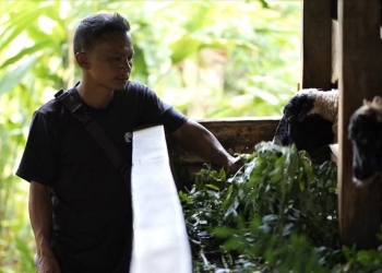 Giliran PLN Kembangkan Ekosistem Biomassa di Tasikmalaya, Yedi Rahmat: Program yang Luar Biasa