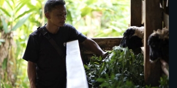 Giliran PLN Kembangkan Ekosistem Biomassa di Tasikmalaya, Yedi Rahmat: Program yang Luar Biasa