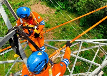 Usung Semangat Hari Pahlawan, Pejuang Keandalan PLN Ganti Isolator Tanpa Padam di Bontang