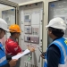 Perkuat Sistem Kelistrikan Kalteng-Kalbar, PLN Tuntaskan Pembangunan SUTT 150 kV Kendawangan-Sukamara