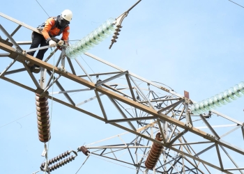 Tingkatkan Keandalan Listrik Kalimantan, PLN Remajakan Jaringan Listrik Sepanjang 256,16 Kms di Tahun 2024