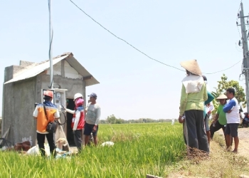 Dukung Tranformasi Pertanian Modern, Electrifying Agriculture PLN Raih 53.539 Pelanggan Baru di Tahun 2024