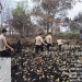 Dua Hektare Lahan di Sungai Raya Terbakar, Polisi Gerak Cepat Padamkan Api